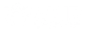 amib-logo (1)